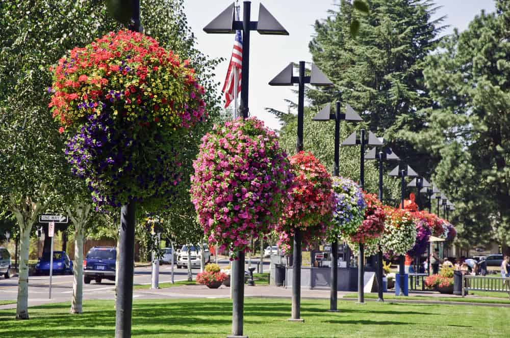 Beaverton, Oregon - great summer spots