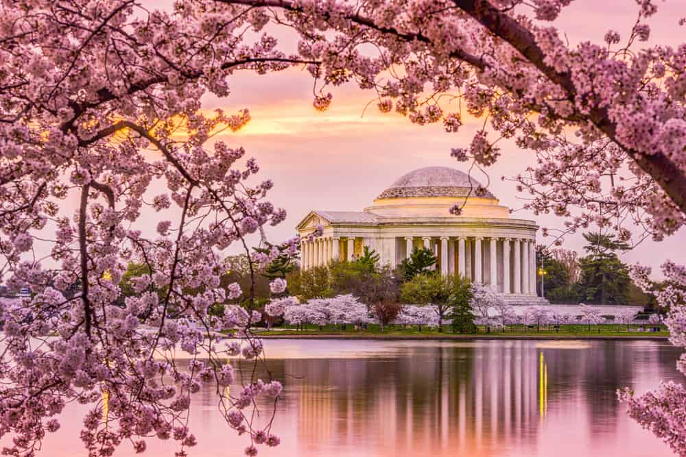 Best places to visit in the USA in March/Spring