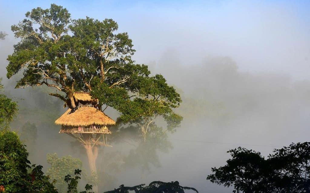 Bokeo Nature Preserve - Tree house in Laos
