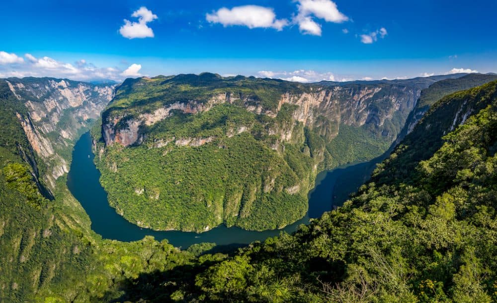 Chiapas rainforest in Mexico