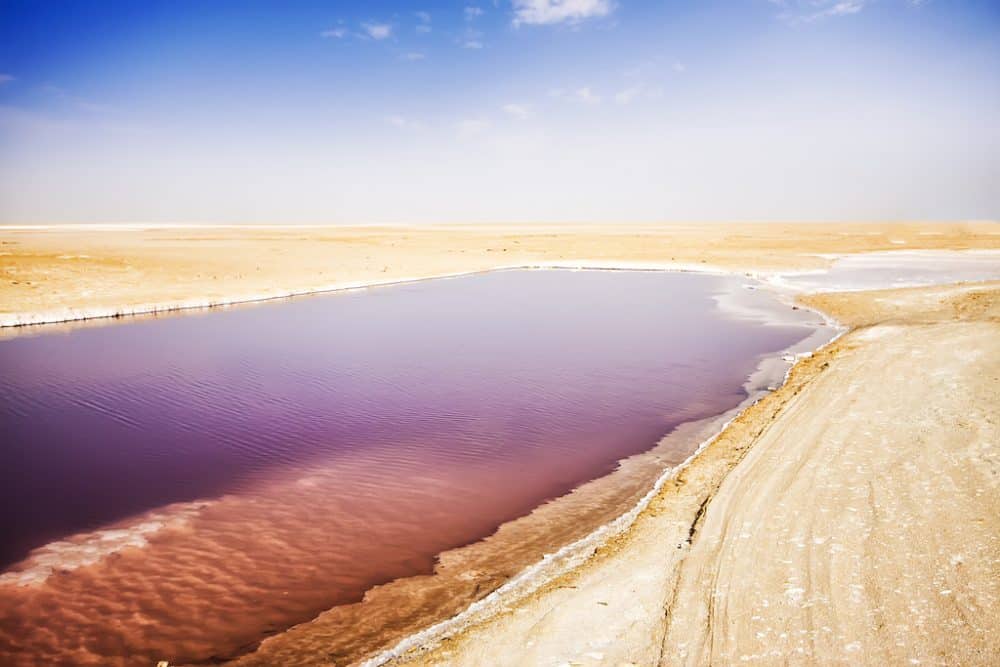 Chott el Djerid - the largest salt lake in Tunisia