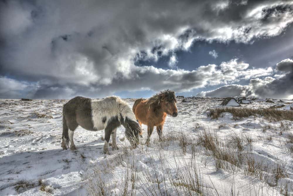 Visiting Dartmoor in the winter