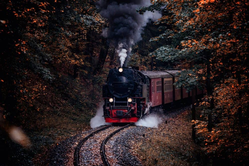 Harz National Park in Germany
