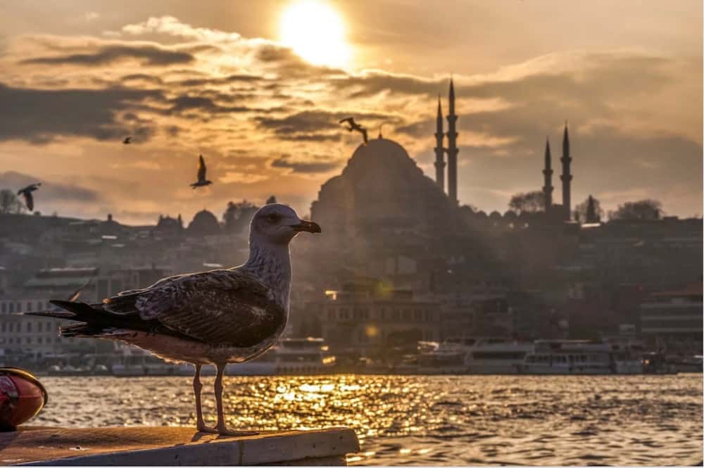 Istanbul - most beautiful places to visit in Instanbul