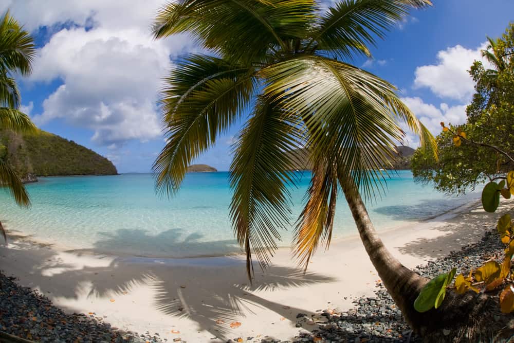 Maho Bay Beach - best places to visit in the US Virgin Islands