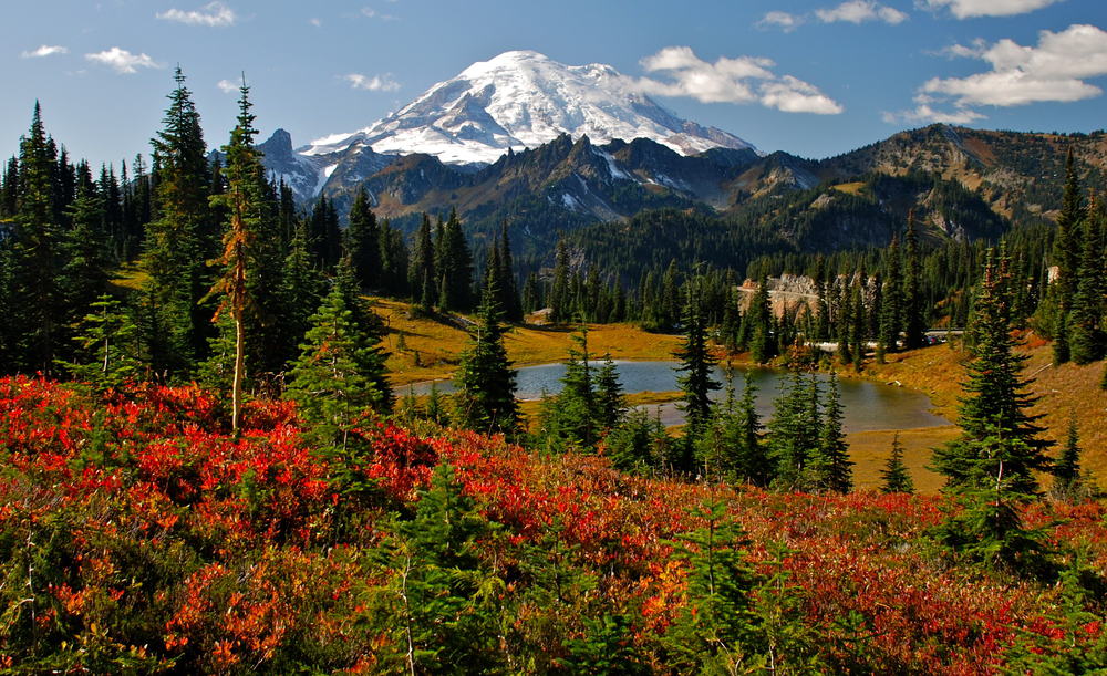 Mount Rainier National Park - best places to visit in July