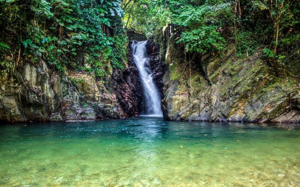Paria Waterfall Trinidad