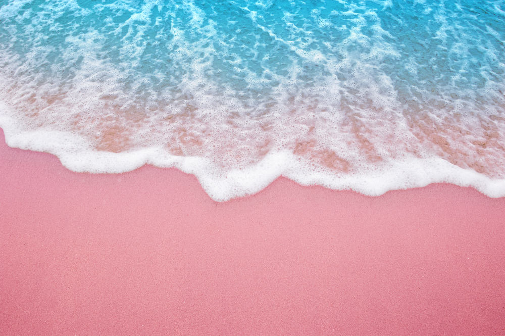 Pink Sand Beach Bermuda