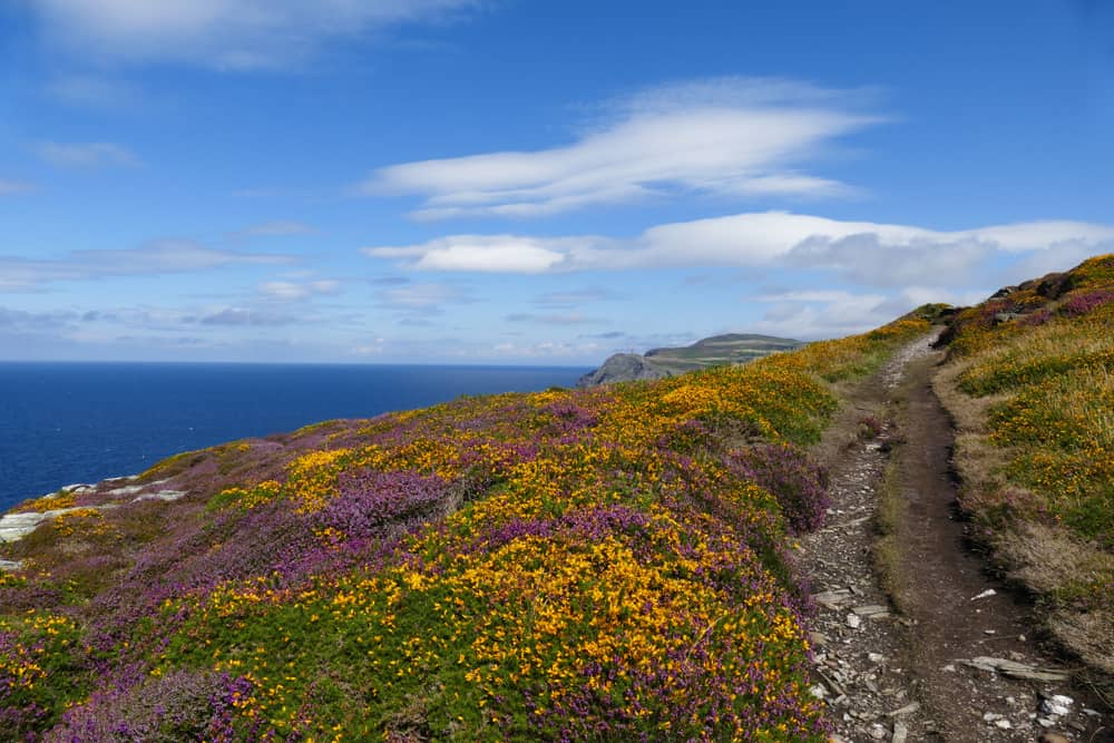 Road of the Gull Isle of Man