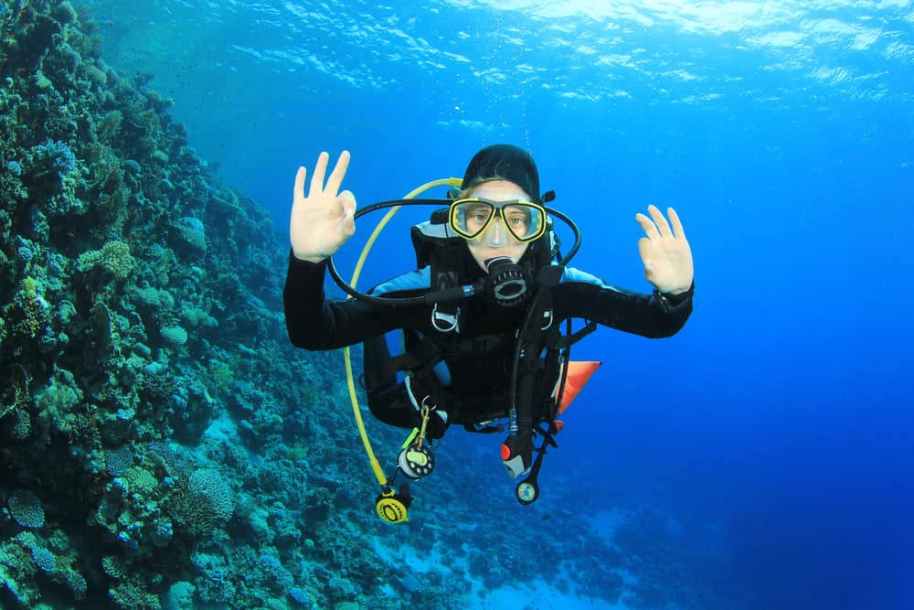 Scuba Diving Tour Bahamas