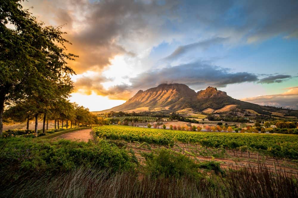 Stellenbosch - Top 10 places to visit in South Africa