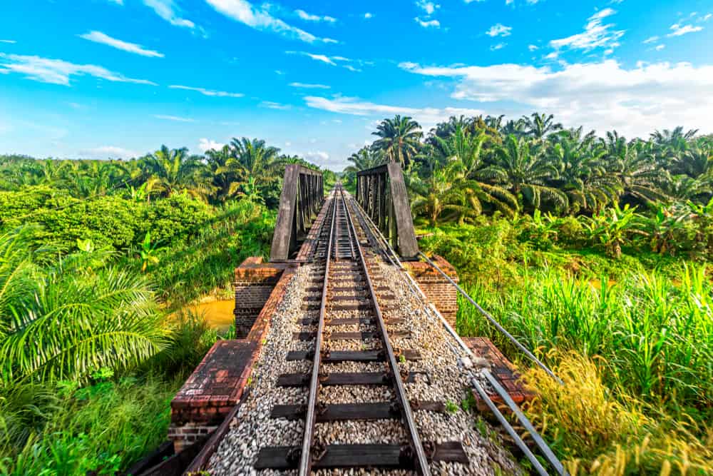 The Jungle Railway Malaysia