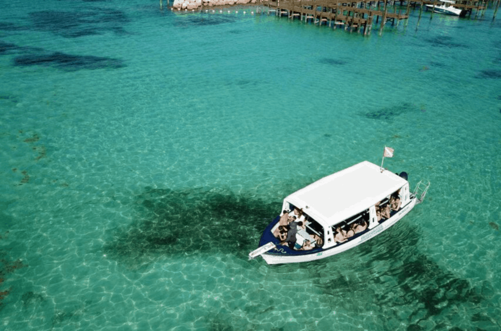 Glass Bottom Boat Tour Bahamas